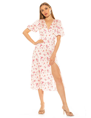 Nola V Neck Puff Sleeve Fit And Flare - 19