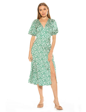 Nola V Neck Puff Sleeve Fit And Flare - 13
